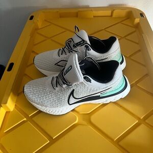 Nike infinity running shoes